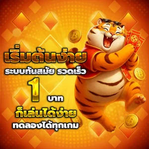 เว็บโปร